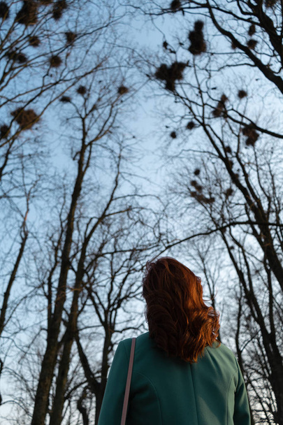 Bahar-Bauska, Letonya, 2019 ağaçlarda yüksek yukarı yuvalama Rooks gözlemci genç kadın ornitolog - Fotoğraf, Görsel