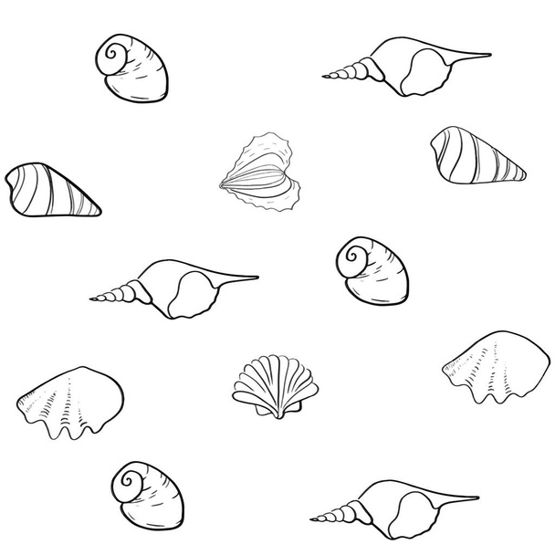 seashells line vector background - Vector, Image