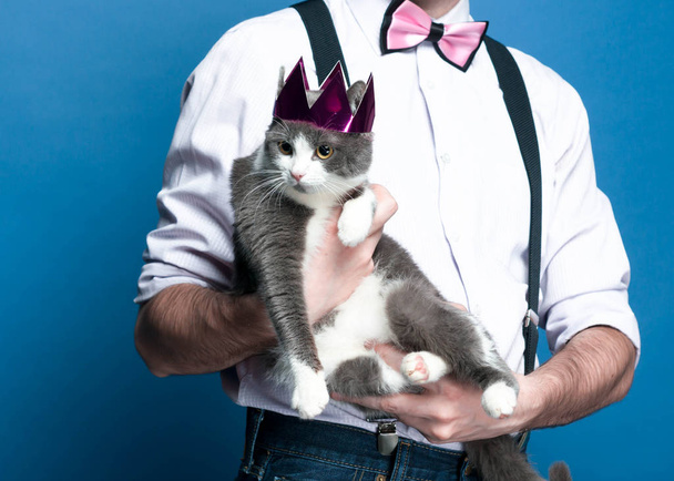 cropped view of man holding cute grey with white cat in pink handmade crown on blue background - Foto, Bild