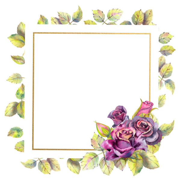 Flowers of dark roses, green leaves, composition in a geometric Golden frame. The concept of the wedding flowers. Square frame. Flower poster, invitation. Watercolor compositions for the design of gre - Photo, image