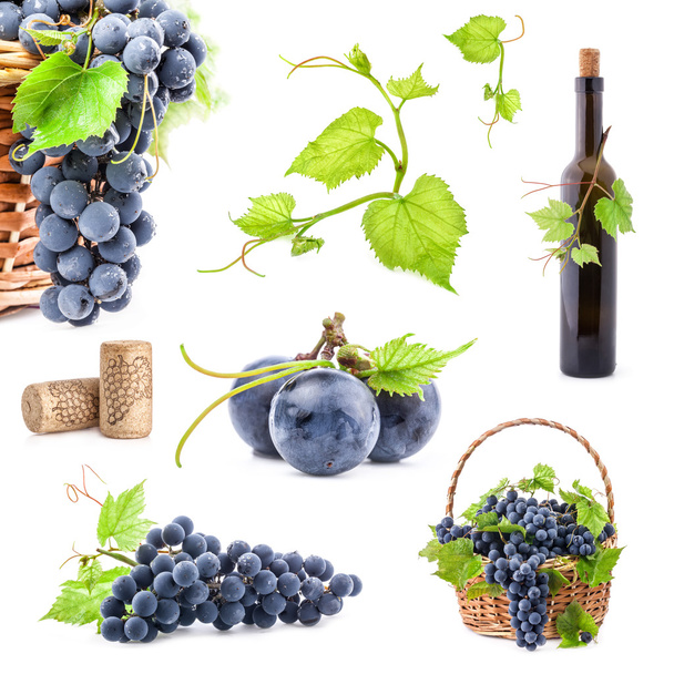 Colección de uvas oscuras
 - Foto, Imagen