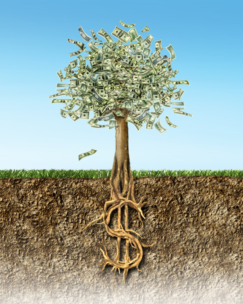 грошове дерево в грунті перетином показує нам знак долара коріння. - Фото, зображення