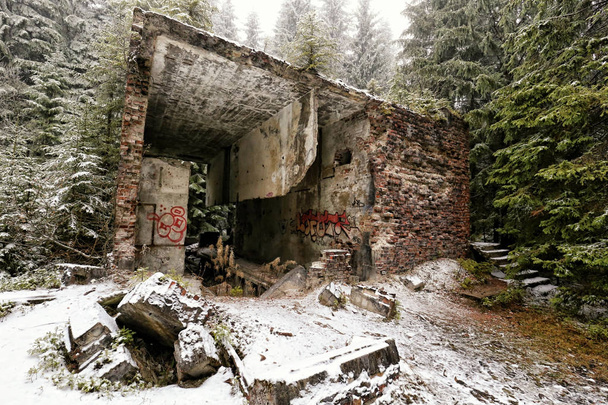 Resti di muri di mattoni dell'edificio spaventoso nel bosco
 - Foto, immagini