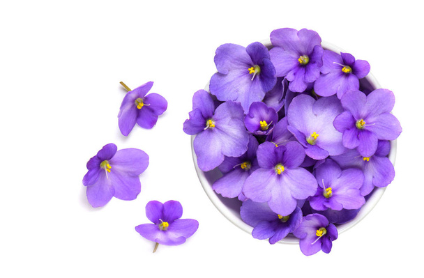 Violets in white bowl isolated on white background. - Photo, Image