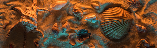 オレンジと青のライトと砂の上の貝殻やヒトデのパノラマショット - 写真・画像