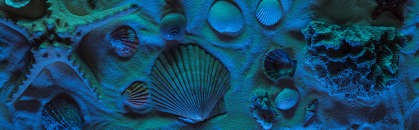 coup panoramique de coquillages, étoiles de mer, pierres de mer et corail sur sable avec lumière bleue
 - Photo, image