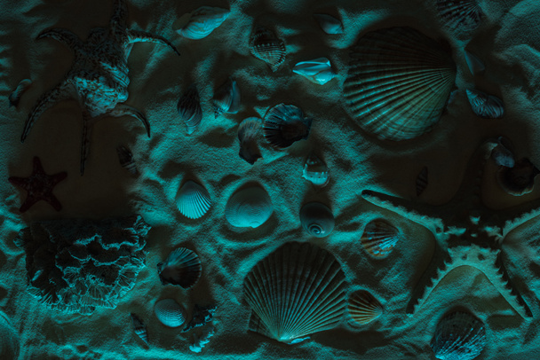 felülről kilátás tengeri kagylókból, tengeri csillag, tenger kövek és korall homok, kék fény - Fotó, kép