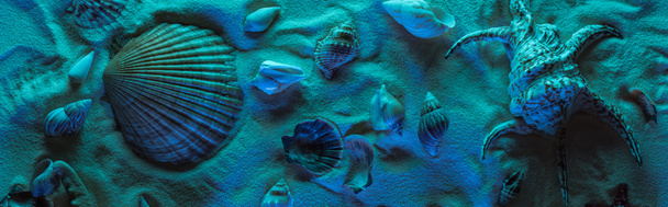Panoramaaufnahme von Muscheln auf Sand mit blauem Licht - Foto, Bild