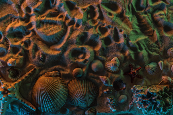 vista superior de diferentes conchas marinas, estrellas de mar, corales y rastros de ellos en la arena con luces naranjas, verdes y azules
 - Foto, Imagen