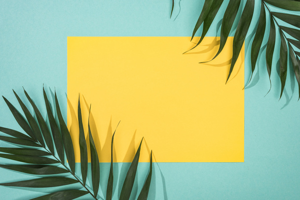 top view of tropical leaves and yellow card with copy space on turquoise background - Foto, afbeelding
