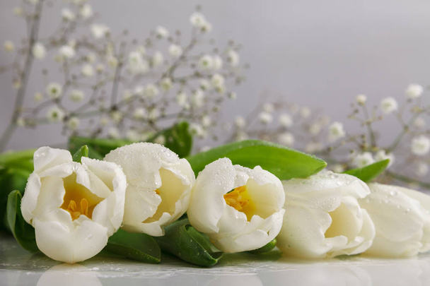 Bouquet of fresh white tulips covered with dew drops on white background. Tulip petals covered with water drops - Fotó, kép