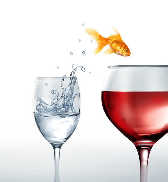 gouden vis glimlachend springen van een glas water, met een glas rode wijn - Foto, afbeelding