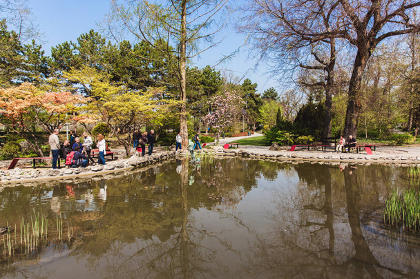 Beautiful sunny spring day in japanese garden in Budapest - Photo, Image