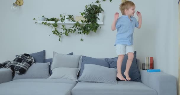 A 4 years old boy with white hair and a blue shirt jumps and smiles on the sofa. Fun and baby at home. Prank and pampering - 映像、動画