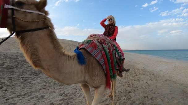 Βόλτα με καμήλα με γυναίκα - Πλάνα, βίντεο