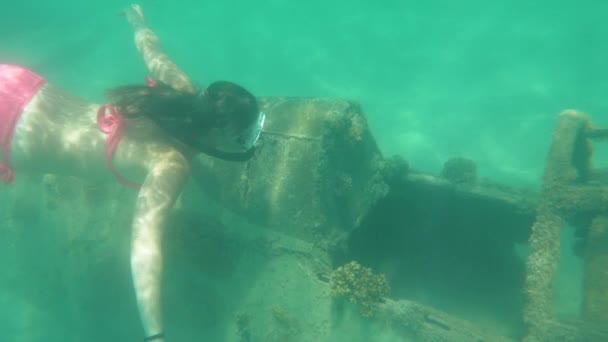 水中、スローモーション:ピンクのビキニの若い女性は、戦闘機の残骸を探検し、カメラを見ます。女性観光客は、透明な海水にダイビングし、破壊された軍用機の周りを泳ぐ - 映像、動画