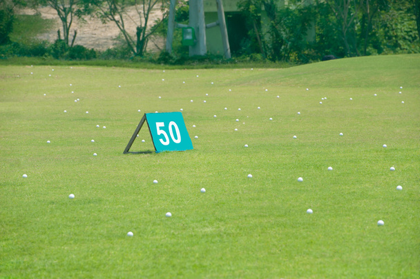 yard sign with balls - Photo, Image