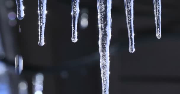 Icicles de cristal brilhantes pendurados no telhado. Derretendo o gelo com quedas brilhantes caindo sobre um belo fundo brilhante. Estalactites de gelo no inverno frio ou primavera no Canadá
. - Filmagem, Vídeo