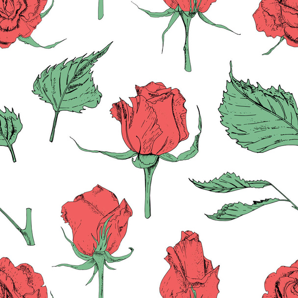 Vector illusztráció formájában egy varrat nélküli minta a rózsa és a levelek fehér alapon. - Vektor, kép