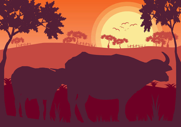 Buffalo zachód słońca wieczorem i łąki krajobrazu łąka, wektor Illustrator - Wektor, obraz