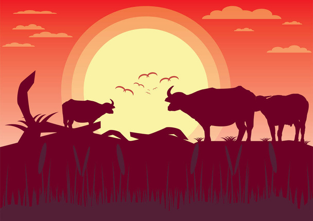 Buffalo auringonlasku ilta ja niitty maisema maisemia.vektori Illustrator
 - Vektori, kuva