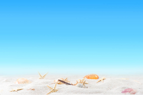 χαλάρωση στο καλοκαίρι εξωτική αμμώδη παραλία ιδέα - Φωτογραφία, εικόνα