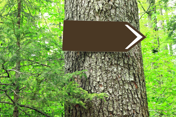 lege richting teken op boom - Foto, afbeelding
