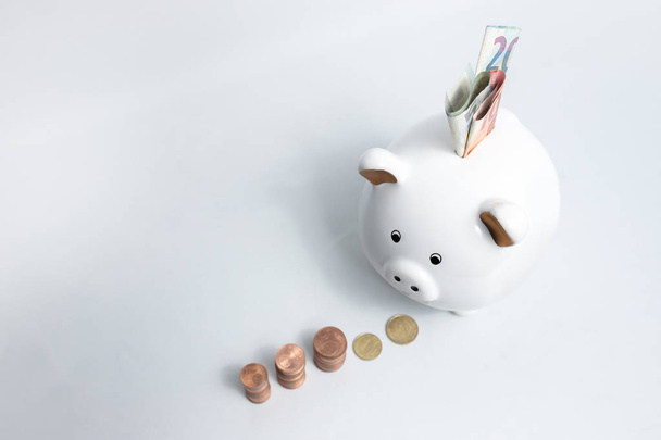 Sparschwein wei mit Geldmuenzen und Geldscheinen - 写真・画像