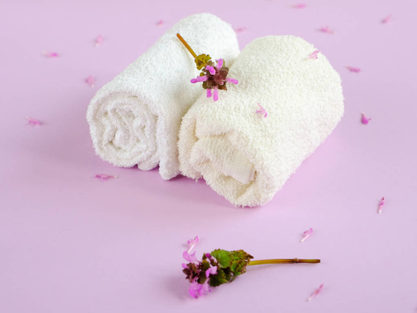 Clean and fresh cotton towels - 写真・画像