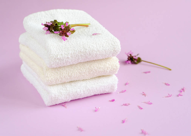 Clean and fresh cotton towels - Foto, Imagem