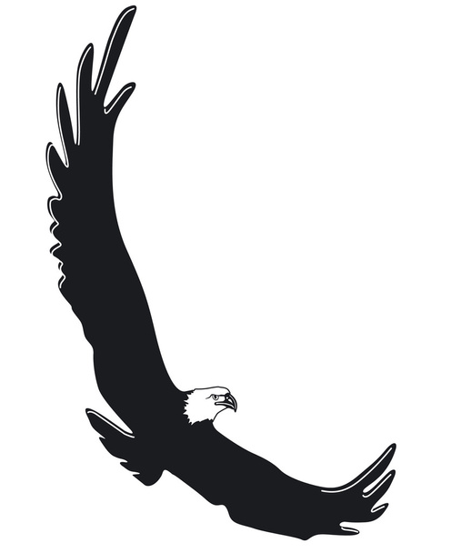 Fliegender Adler - Wektor, obraz