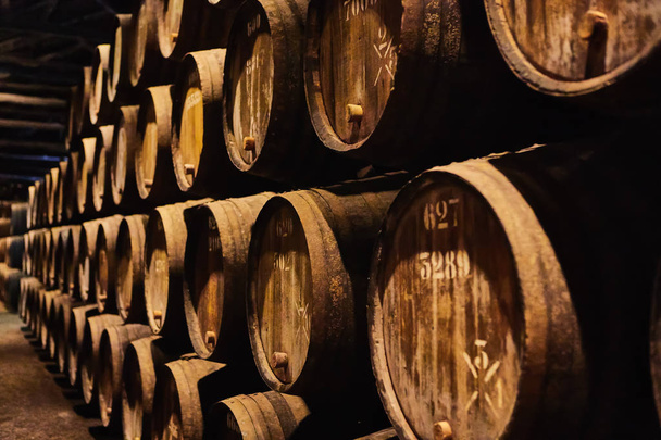 Viejos barriles de madera tradicionales envejecidos con vino en una bóveda alineada en una bodega fresca y oscura en Italia, Oporto, Portugal, Francia - Foto, imagen