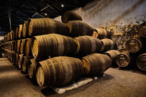 Viejos barriles de madera tradicionales envejecidos con vino en una bóveda alineada en una bodega fresca y oscura en Italia, Oporto, Portugal, Francia - Foto, Imagen