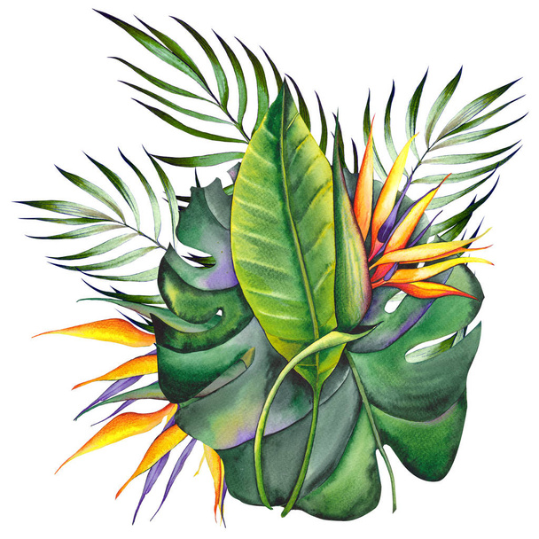Exotic strelitzia flowers with tropical leaves. Watercolor on white background. - Φωτογραφία, εικόνα