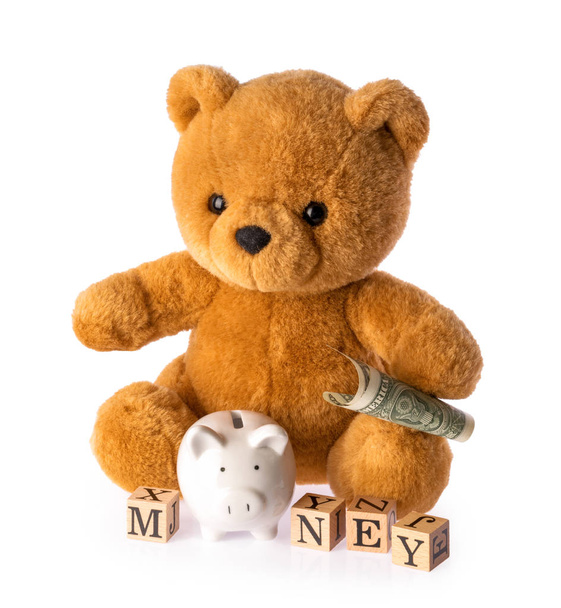 Teddy bear. Money savings concept isolated white background - Photo, Image