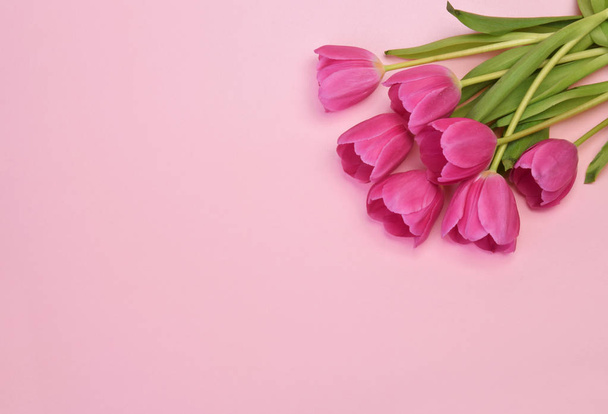 spring flowers banner - bunch of burgundy tulip flowers top view - Foto, immagini