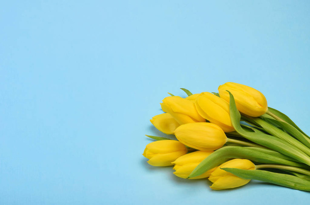 banner de flores de primavera - ramo de flores de tulipán amarillo vista superior - Foto, imagen