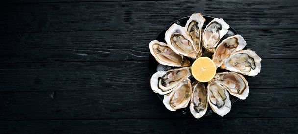 Fresh oysters in a plate of ice and lemon. Seafood. Top view. Free copy space. - Foto, Bild