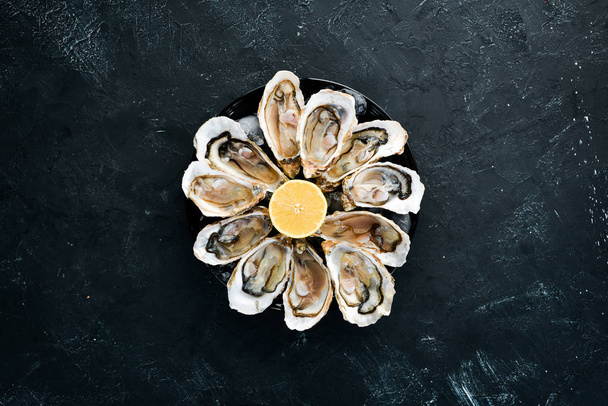 Fresh oysters in a plate of ice and lemon. Seafood. Top view. Free copy space. - Foto, Imagem