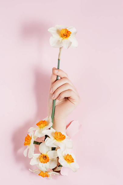 Female hand holds white flower is seen through a hole in pink paper with flowers. Bright colored background and a gap slot in the paper. Holiday and day mather concept. - Фото, зображення