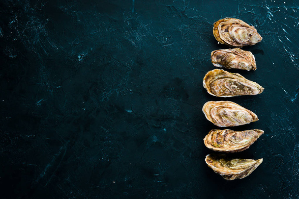 Fresh closed oysters. Seafood On a black stone background. Top view. Free copy space. - Foto, Imagem