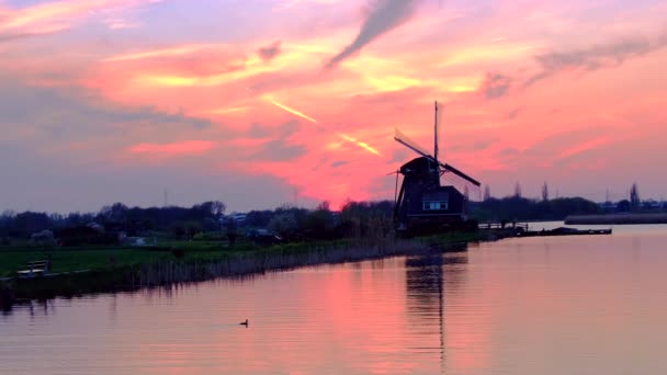 Leiden Mulino a vento paesaggio olandese al tramonto - Filmati, video