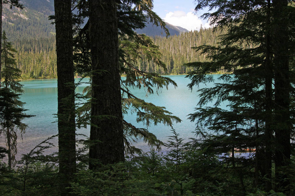 Lac Joffre inférieur dans le parc provincial des lacs Joffre, Canada
. - Photo, image
