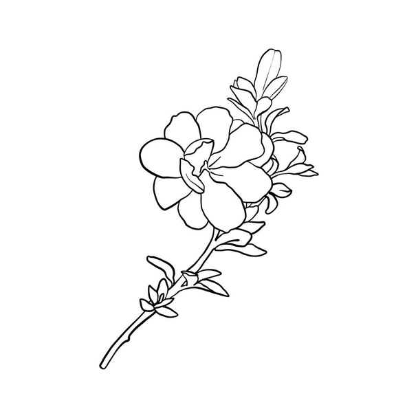 vector drawing flower - Vector, afbeelding
