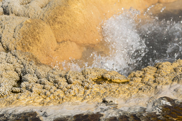 Гейзер в старом верном бассейне Йеллоустонского национального парка в Вайоминге
 - Фото, изображение