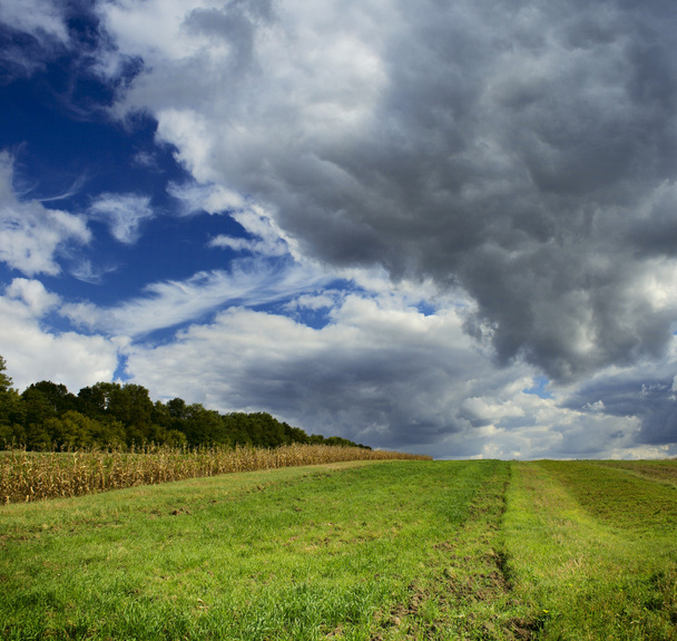 πεδίο και σύννεφα - Φωτογραφία, εικόνα