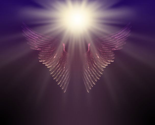 La luce guida del tuo angelo custode - luce bianca brillante che aleggia sopra un paio di ali d'angelo scintillanti su uno sfondo marrone blu scuro con spazio per la copia
  - Foto, immagini