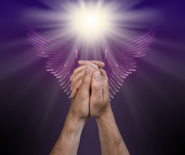 Praying for help from the Angelic Realms - male hands in praying position with a bright white light above and a pair of purple Angel wings - Photo, Image