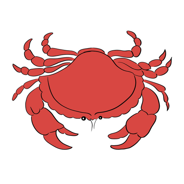 Crab line vector illustration - Vector, Image