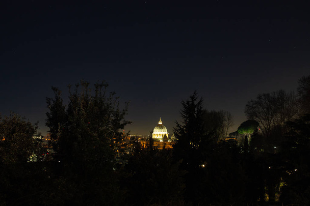 Roma Italya. Bir Şubat gecesi St Peter kubbesi ağaçların dallarında ortaya çıkar, tüm aydınlatılmış. - Fotoğraf, Görsel